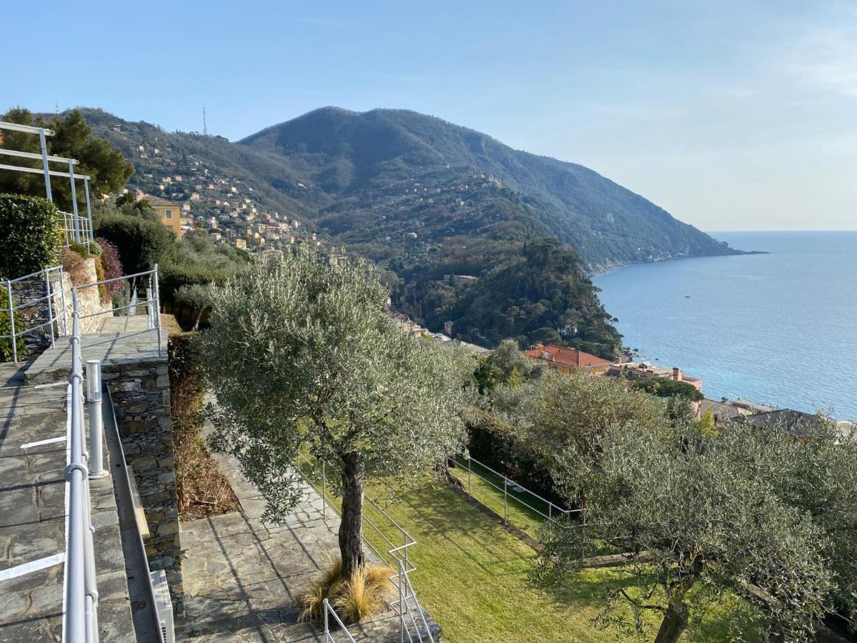 فيلا Casa Mirella, Un Gioiello Unico كامولّي المظهر الخارجي الصورة